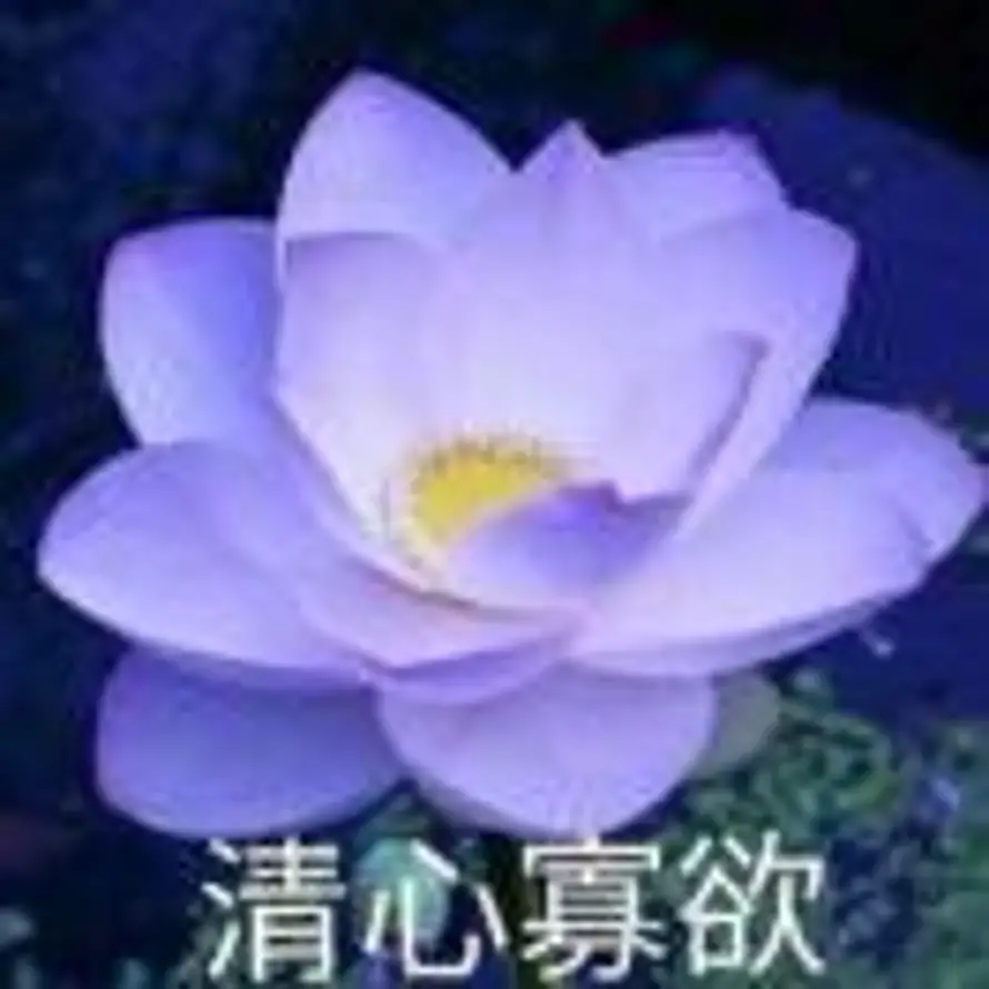 W的头像