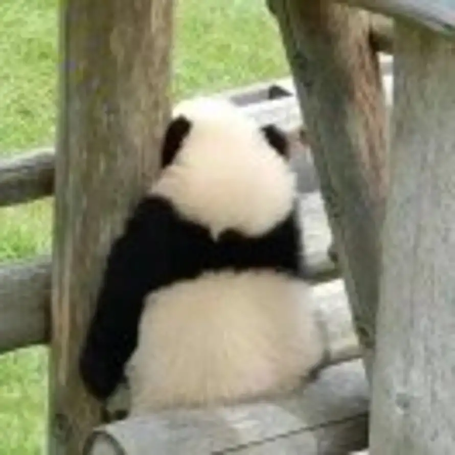 lhmmm的头像