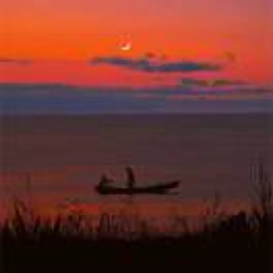 诗酒趁年华的头像