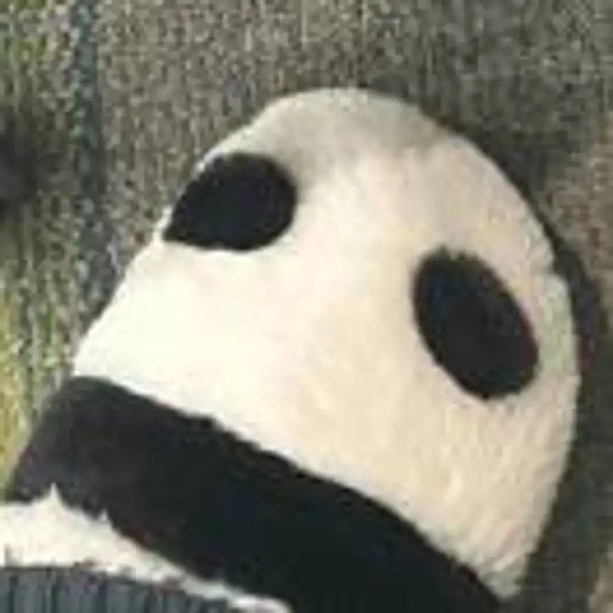 三月廿的头像
