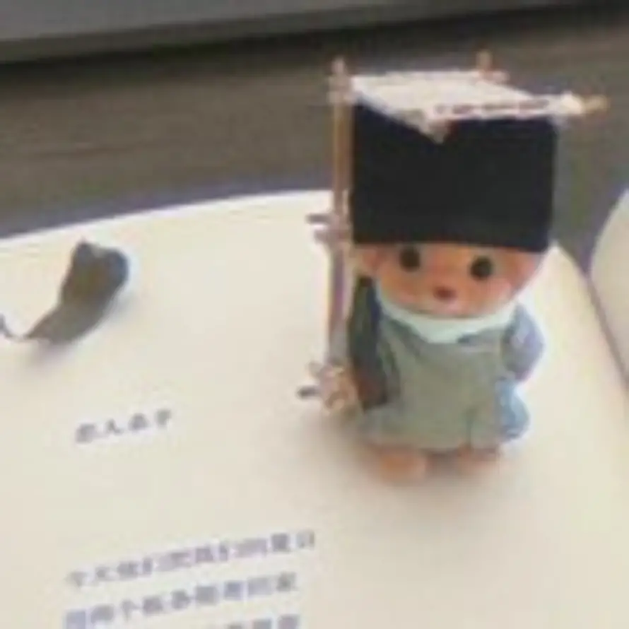 lr的头像