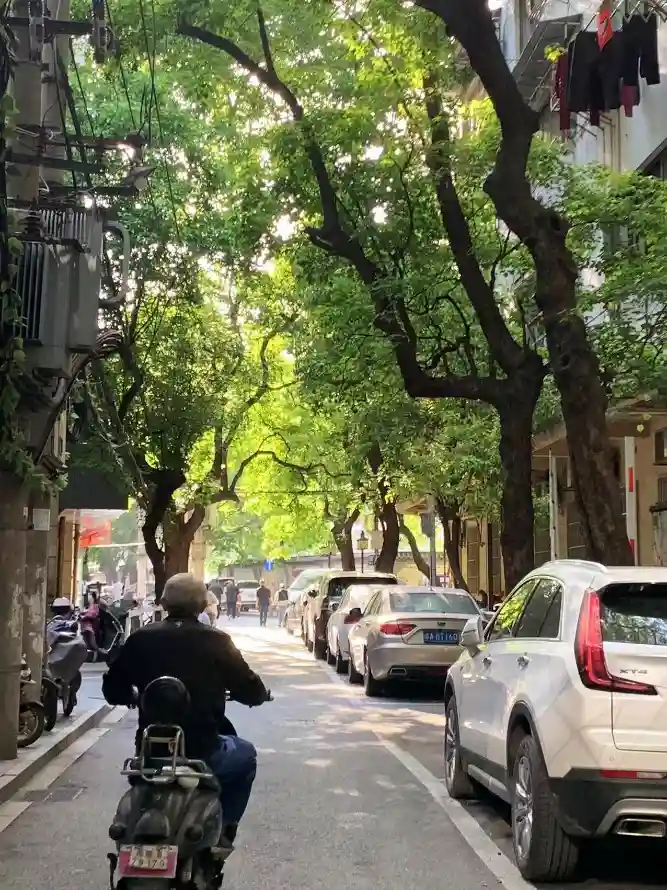 4k巷子壁纸 - 街道 - 车辆 - 阳光「哲风壁纸」
