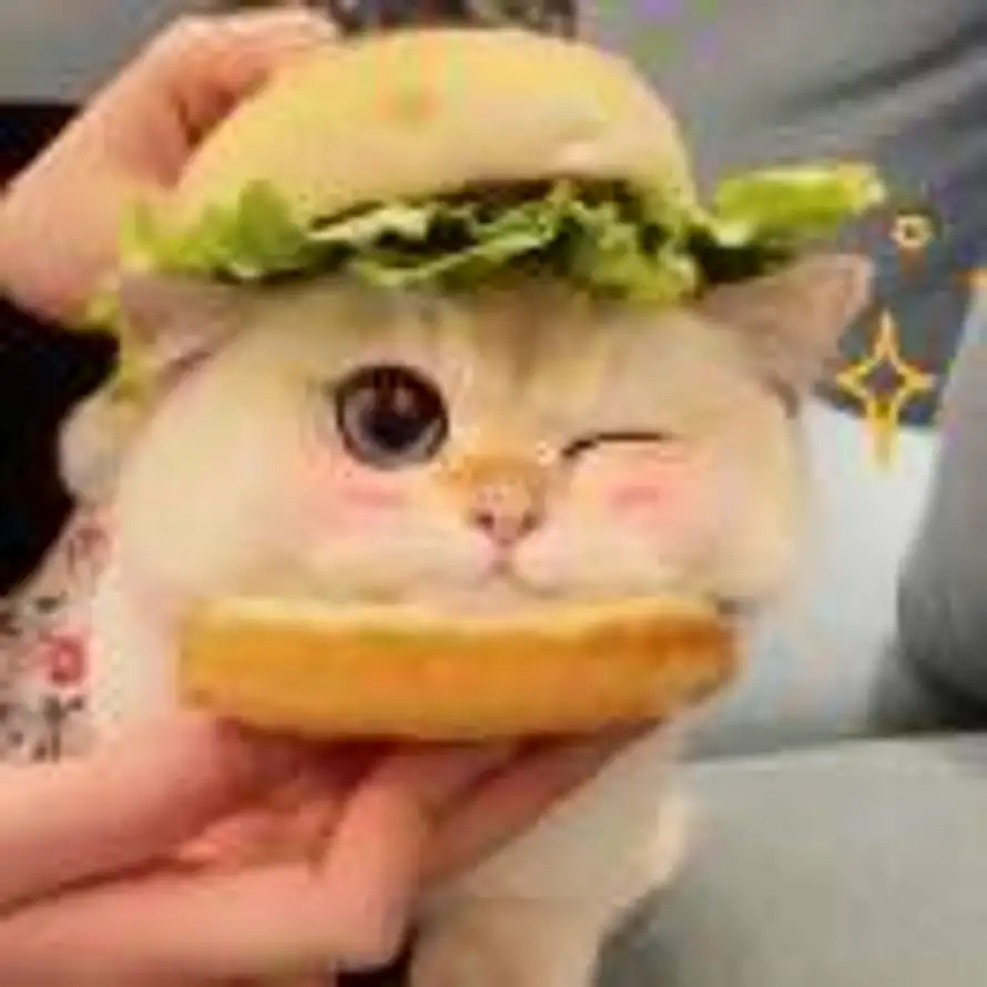 云开的头像