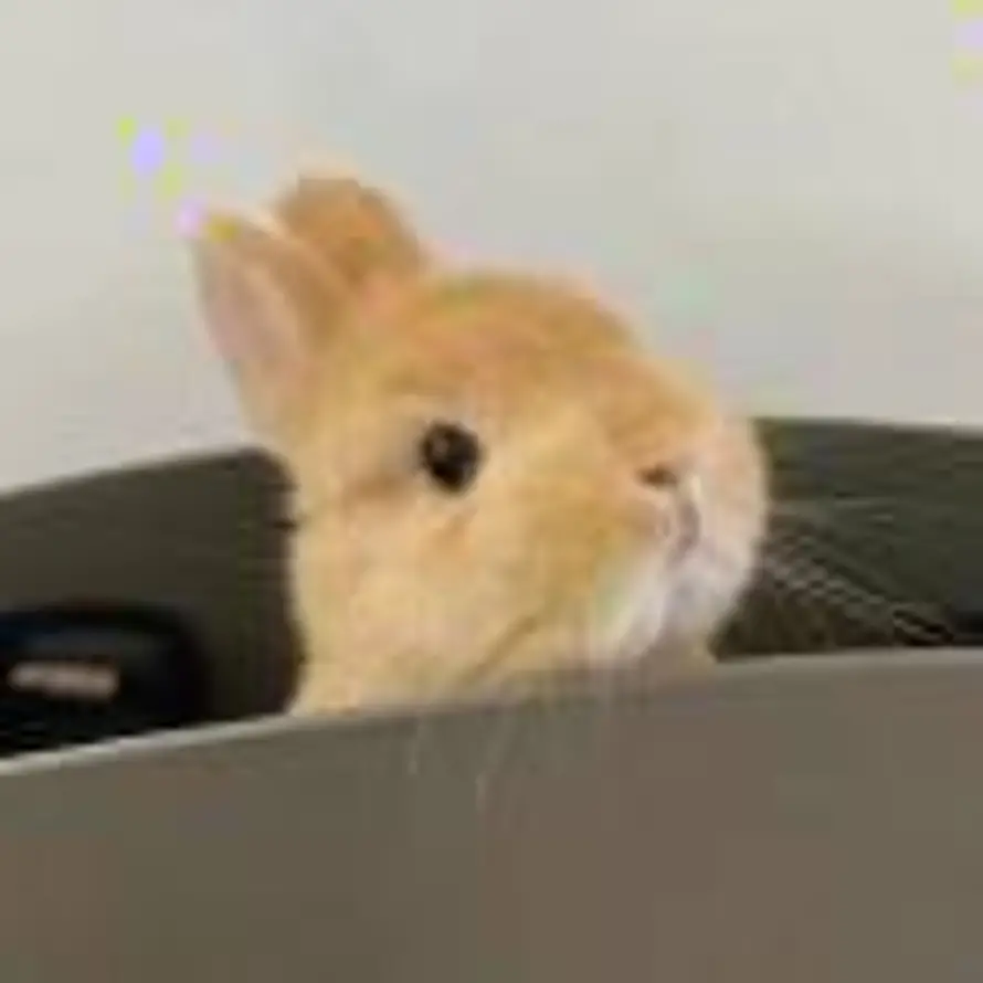 ₗ_ₗ的头像