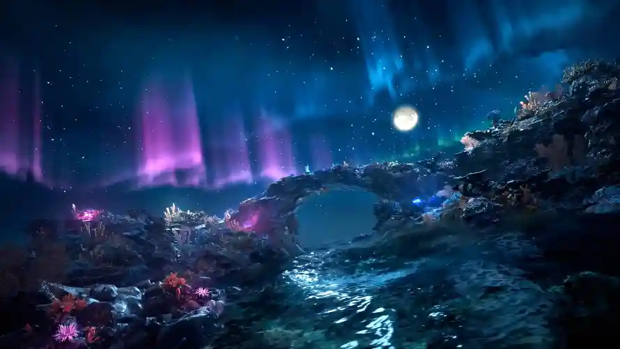 5k极光壁纸-珊瑚礁 - 夜晚的海-奇幻场景「哲风壁纸」