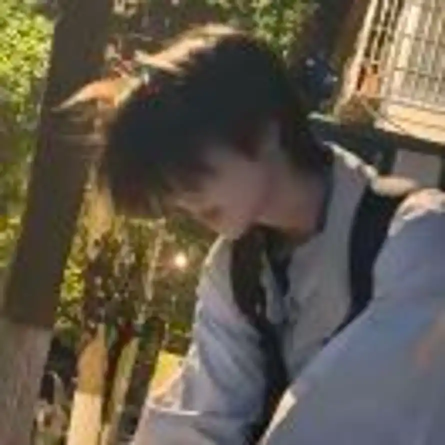 serendipity的头像