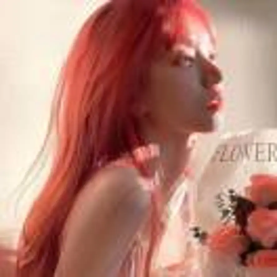 lily的头像