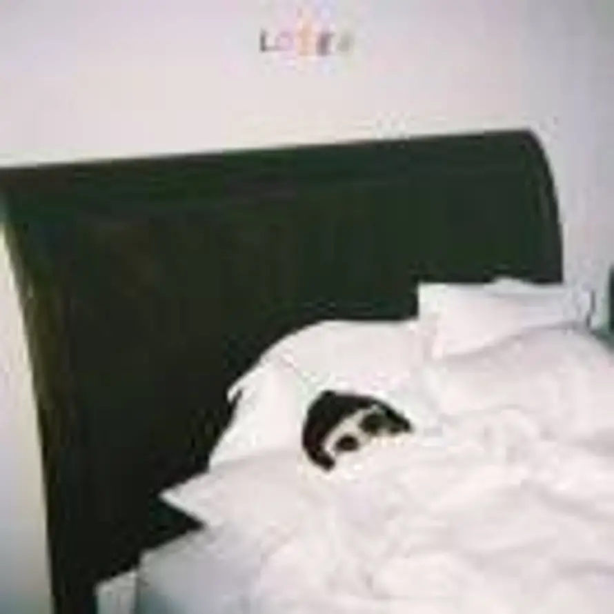 哈哈哈.的头像