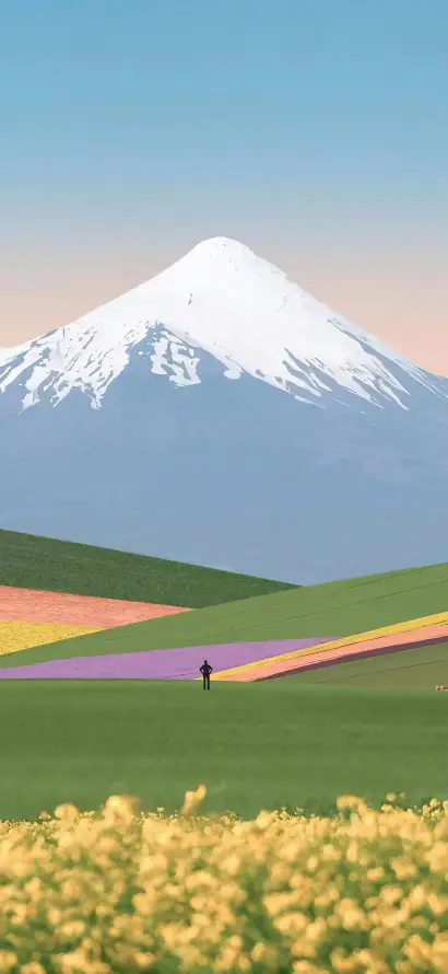 4k背景壁纸 - 自然 - 花海 - 风景「哲风壁纸」