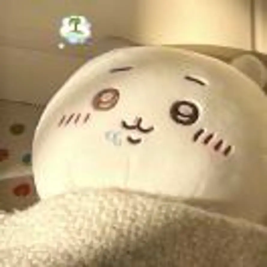 尔尔辞晚的头像