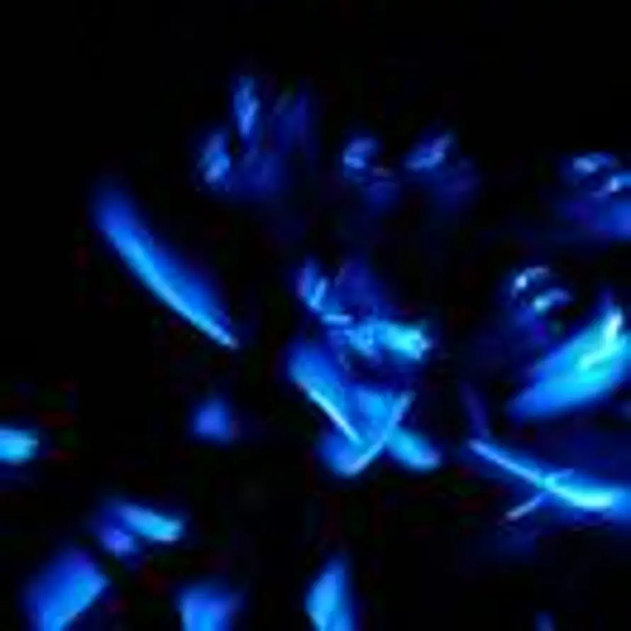 胡扯凡人的头像