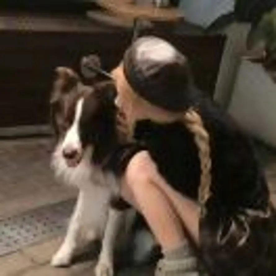 清醒小岛的头像