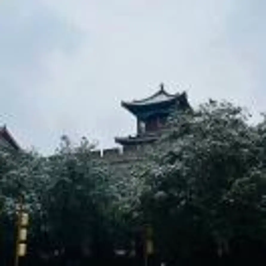 扎不多德勒😅的头像