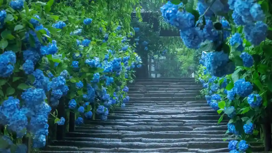 7kAI壁纸-二次元与木径-AI生成壁纸分享「哲风壁纸」