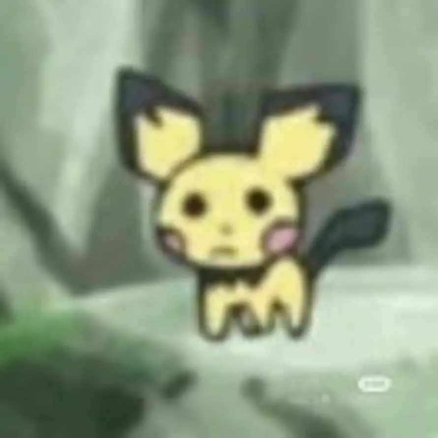 加勒比的猫的头像