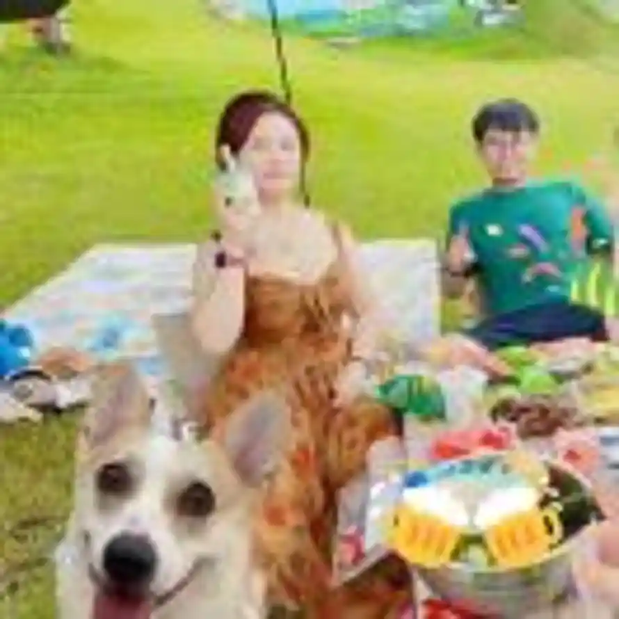 🎣田佳林🐳的头像