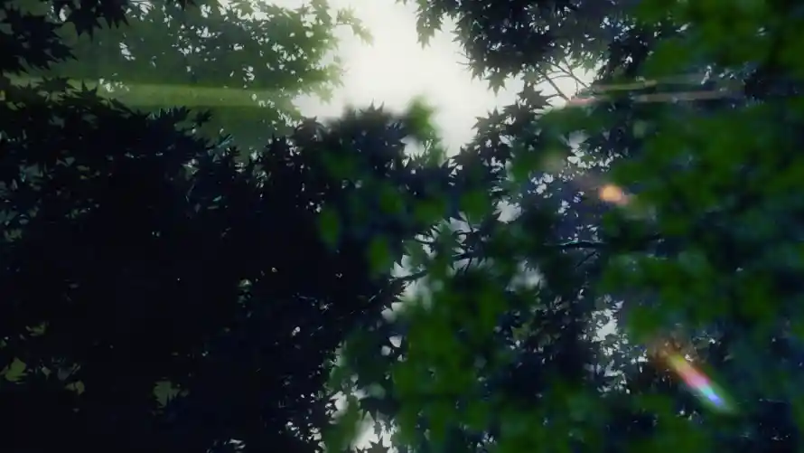 2k光影壁纸-风景壁纸和阳光-壁纸推荐「哲风壁纸」