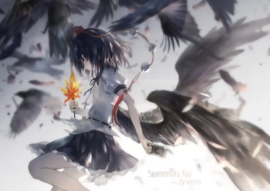 Favorite Image
