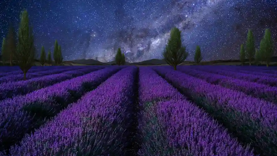 2k夜空壁纸-浪漫夜景壁纸和星空-田园风光壁纸分享「哲风壁纸」