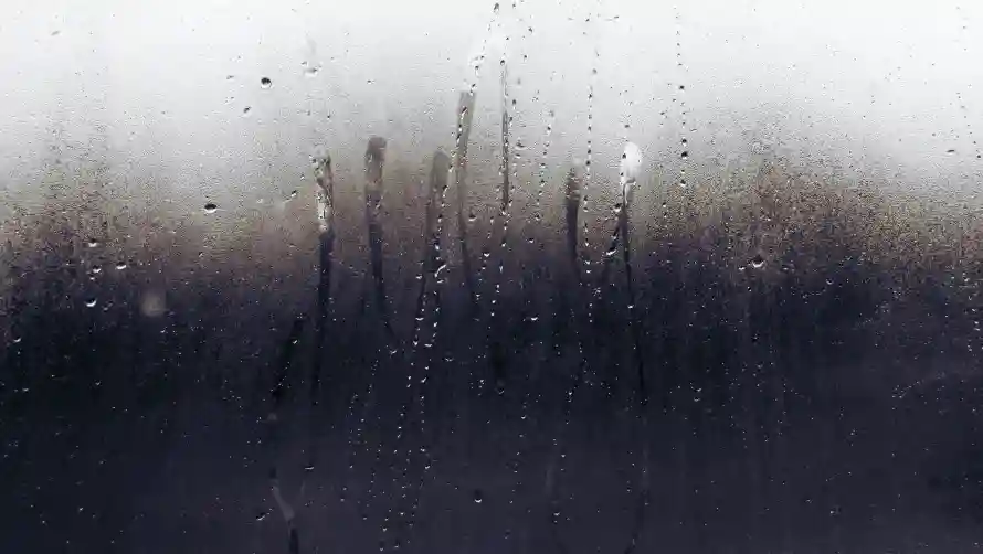 2k窗景壁纸-窗玻璃和雨-窗玻璃背景热门的壁纸「哲风壁纸」