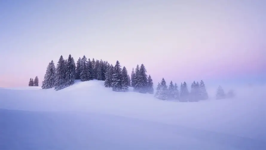 2k自然壁纸-冬季风光 - 雪景-松林雾凇免费下载「哲风壁纸」
