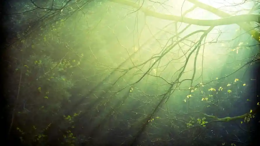 2k光束壁纸-风景 - 自然-热门的壁纸「哲风壁纸」