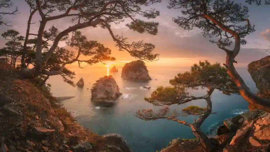 2k自然壁纸-夕阳海景和风景-岩石松树热门的壁纸「哲风壁纸」