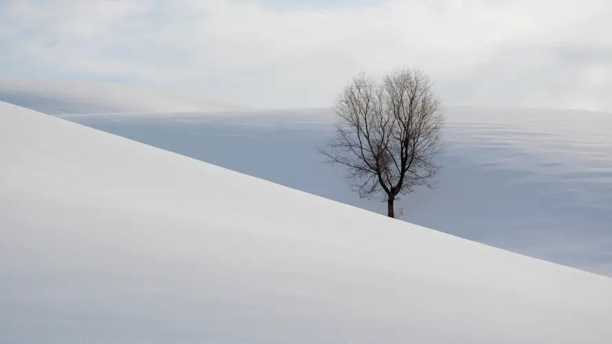 5k冬季壁纸-风光壁纸和雪地-热门的壁纸「哲风壁纸」