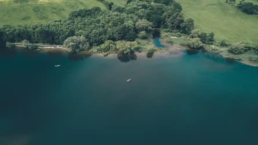 4k自然壁纸-森林植被壁纸和风景-森林湖泊免费下载「哲风壁纸」