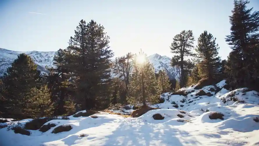 4k冬季壁纸-冬季景观和雪景-冬季雪景免费下载「哲风壁纸」