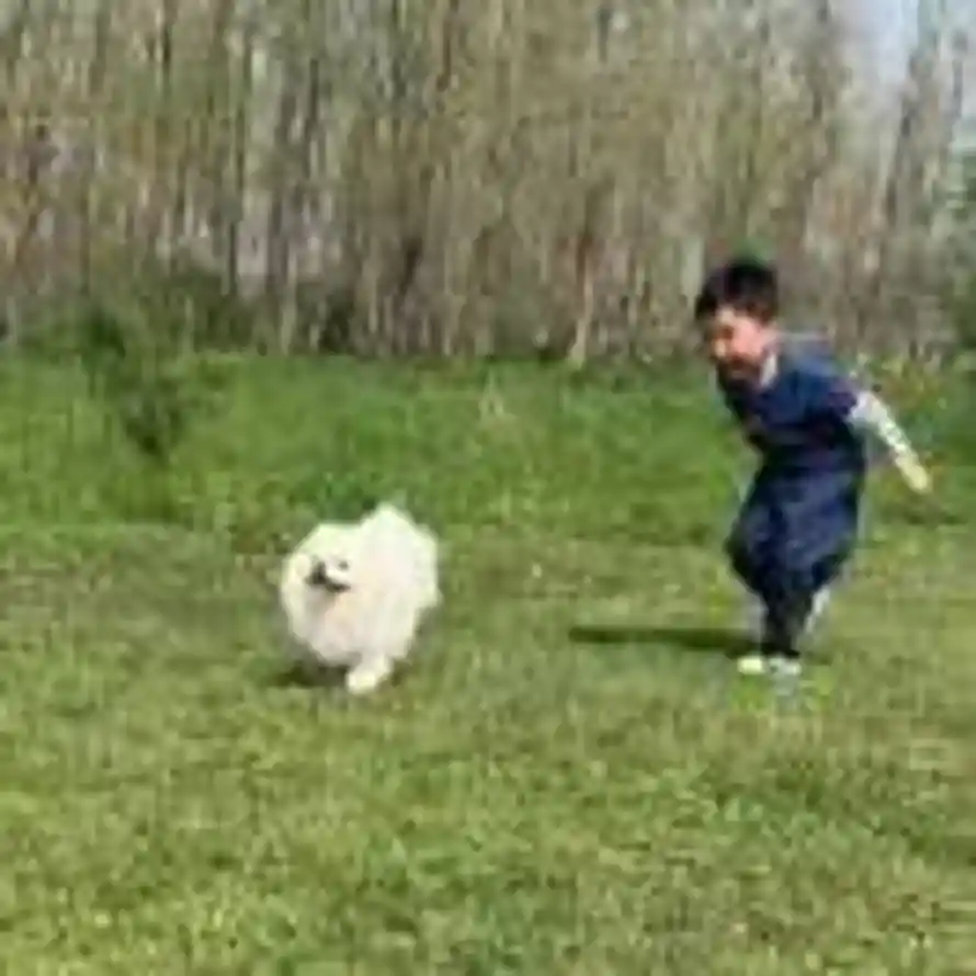 后知后觉的头像