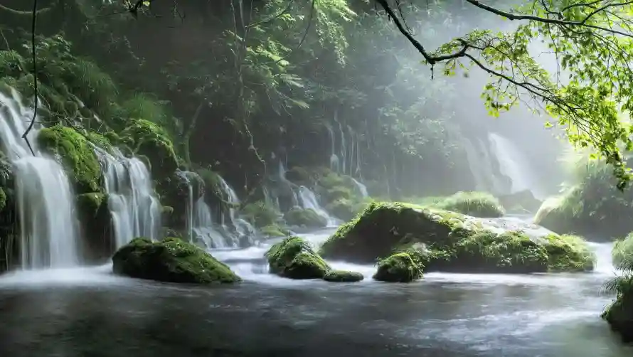 2k自然壁纸-岩石溪流壁纸和风景-森林瀑布热门的壁纸「哲风壁纸」