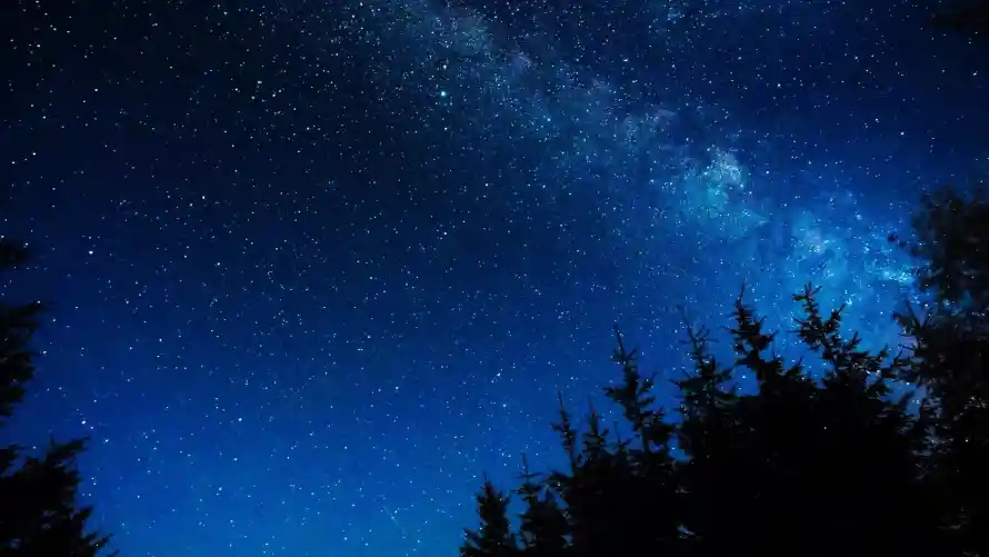 2k星夜壁纸-星空夜景壁纸和风景-暗夜森林壁纸分享「哲风壁纸」