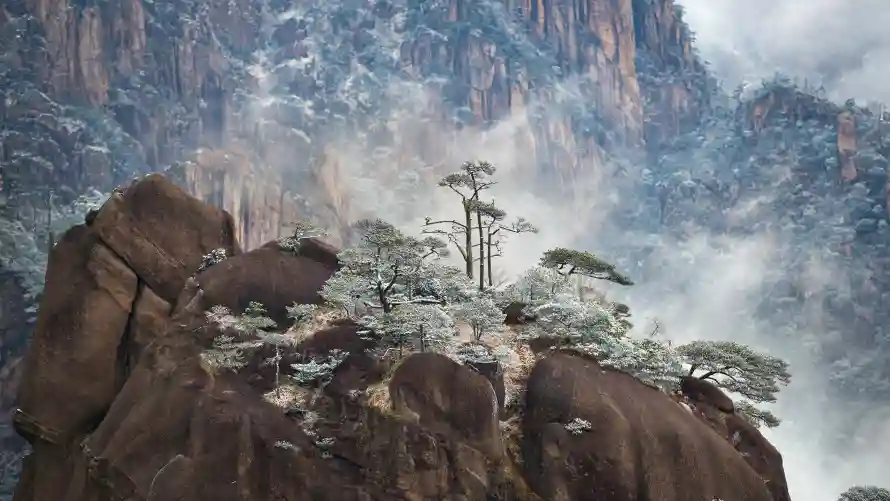 4k自然壁纸-迎客松与风景-云雾山峰热门的壁纸「哲风壁纸」