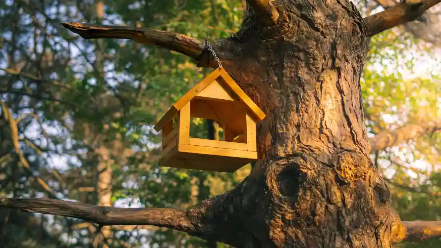 2k可爱壁纸-可爱小屋壁纸和风景-树屋鸟窝热门的壁纸「哲风壁纸」