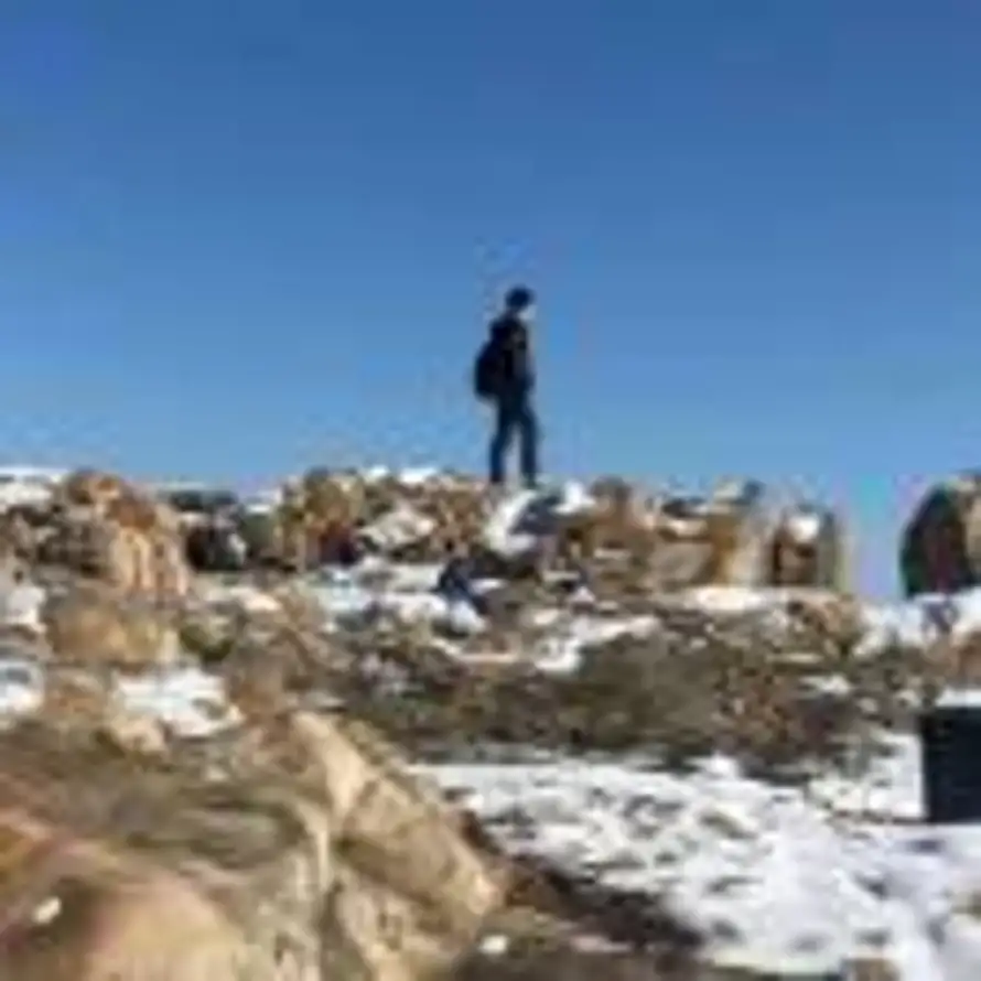 王召阳的头像