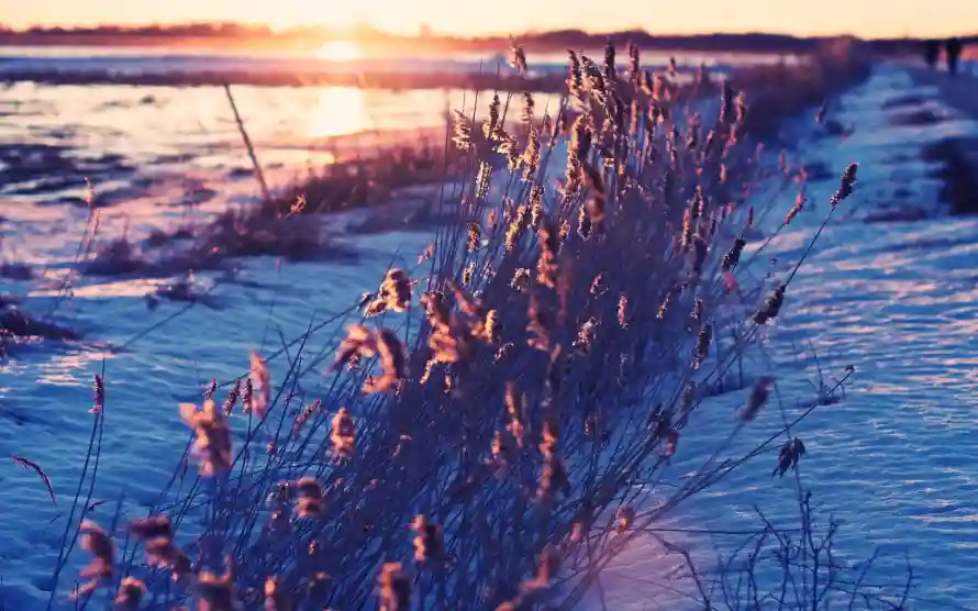 2k自然壁纸-冬季雪地 - 风景-冬日夕阳壁纸分享「哲风壁纸」