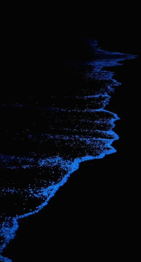4k夜间海浪壁纸 - 梦幻海洋 - 海洋风光 - 深蓝夜景「哲风壁纸」