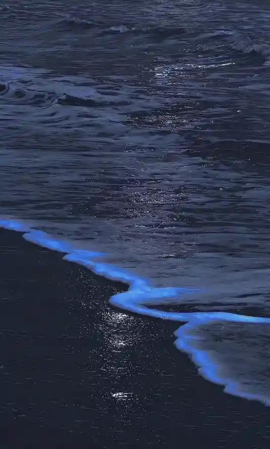 4k沙滩海景壁纸 - 海洋夜景 - 自然奇观 - 荧光海浪「哲风壁纸」