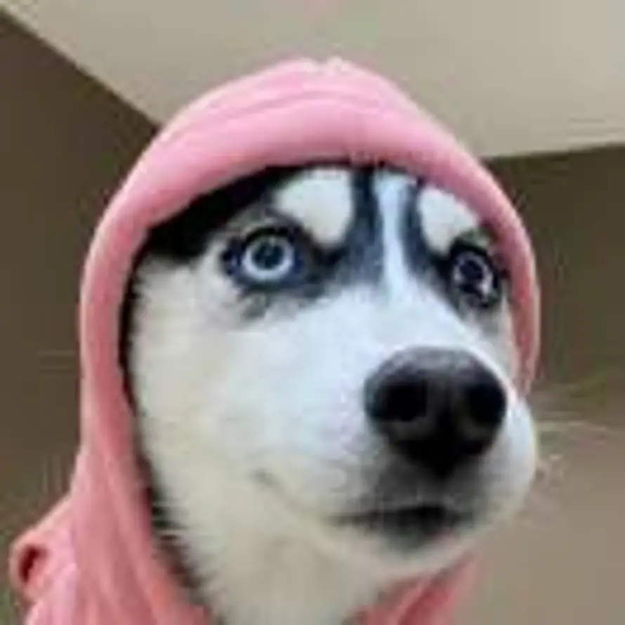 吃什么吃的头像
