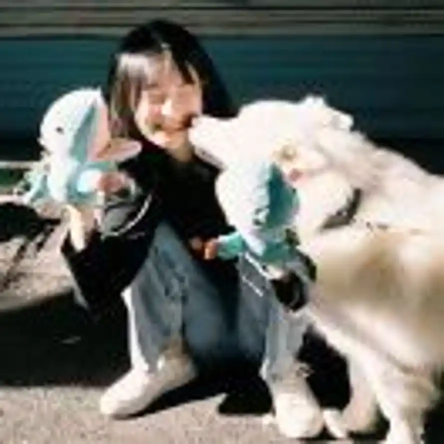 x.的头像