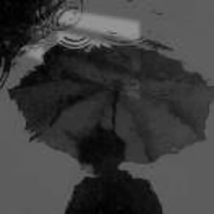 落雨思地的头像