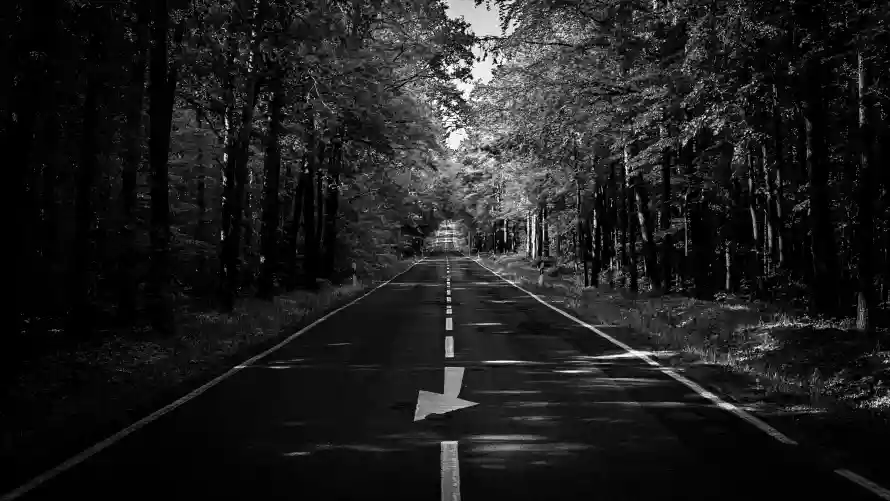 8k公路壁纸-光影道路和黑白-公路风景热门的壁纸「哲风壁纸」