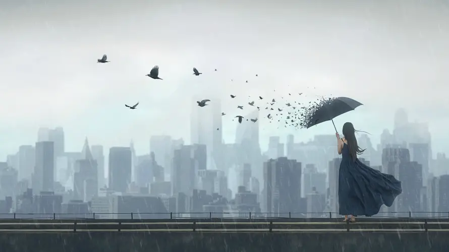 Favorite Image