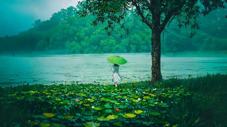 3k下雨壁纸-撑伞少女 - 树木-清新意境热门的壁纸「哲风壁纸」