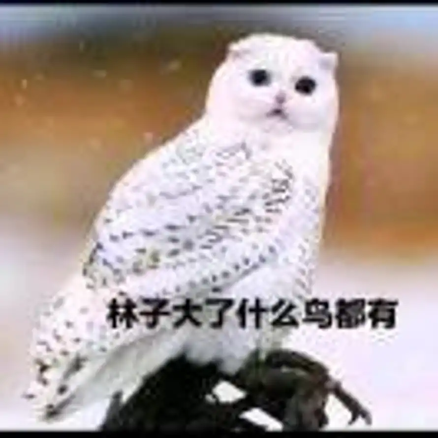 梅兰的头像