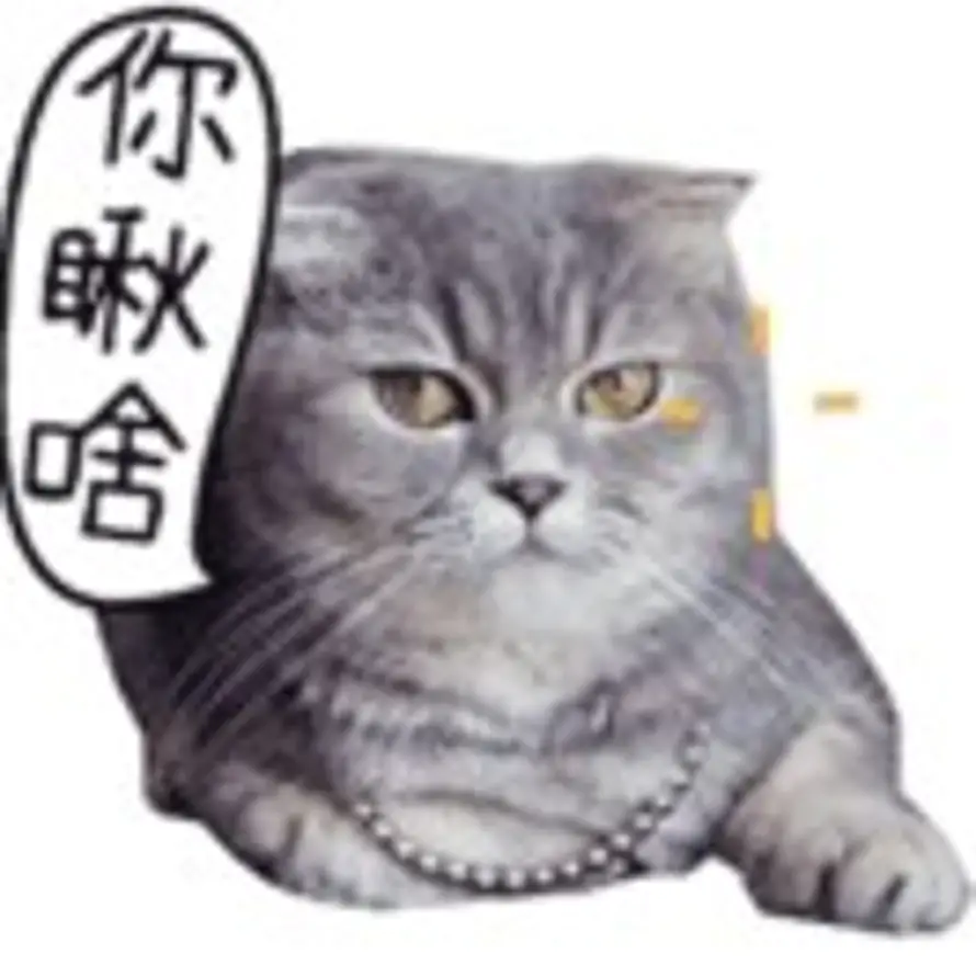 长大了000的头像