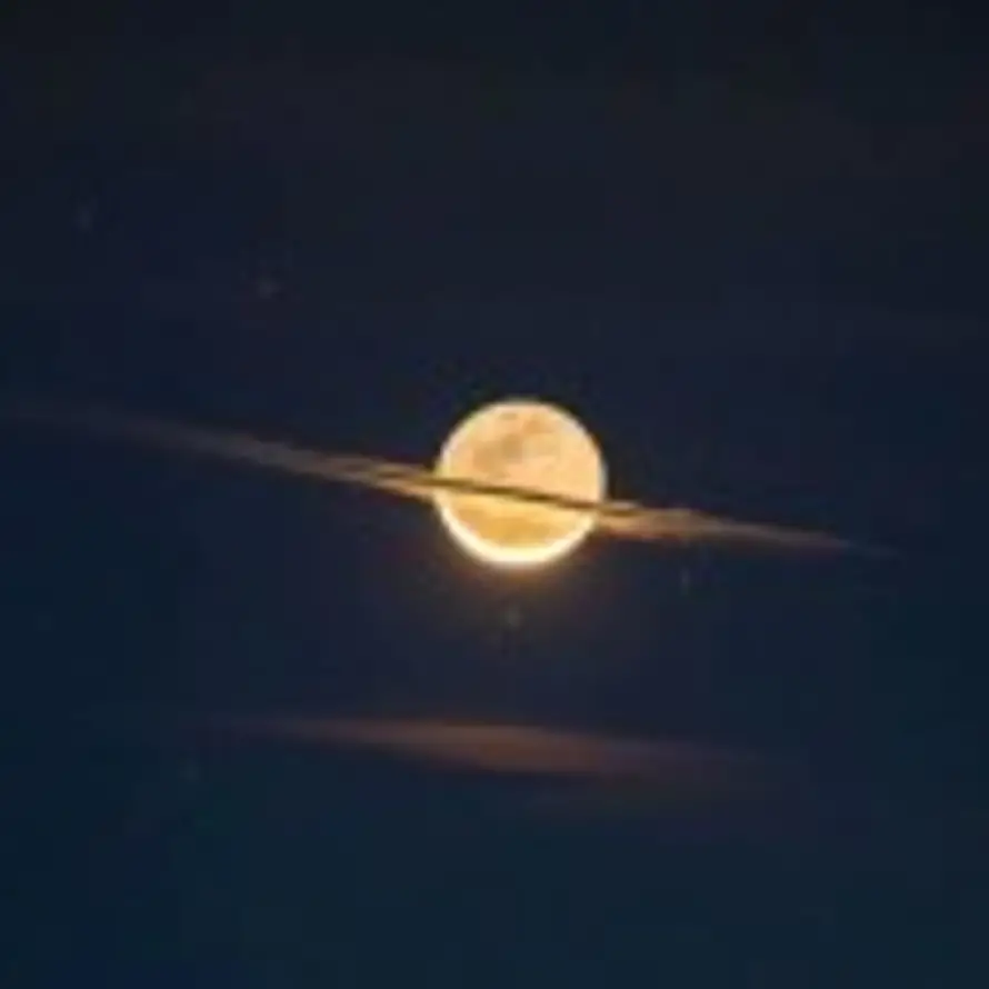 林某不熬夜的头像