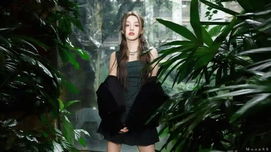 4k明星壁纸-宋雨琦壁纸和歌手-森系少女壁纸推荐「哲风壁纸」