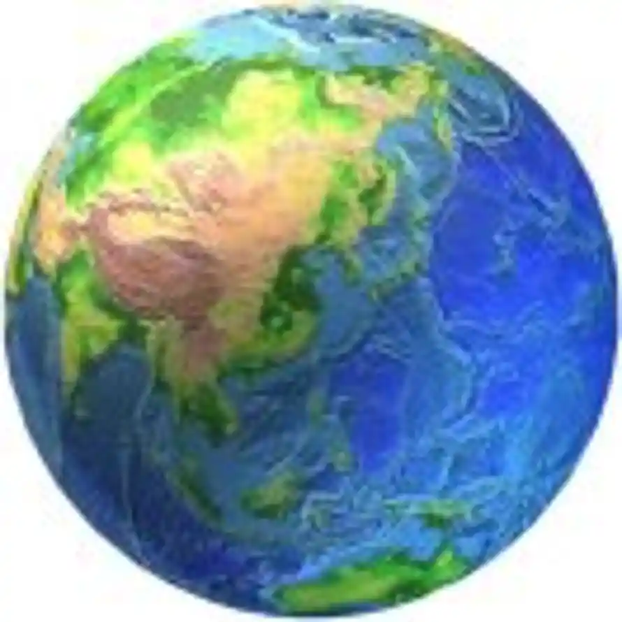 砖家之怒的头像